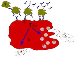 Description de cette image, également commentée ci-après