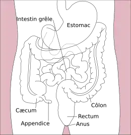 Description de cette image, également commentée ci-après