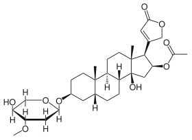 Image illustrative de l’article Oléandrine