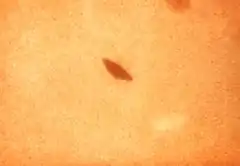 Description de l'image Streptococcus_salivarius.tif.